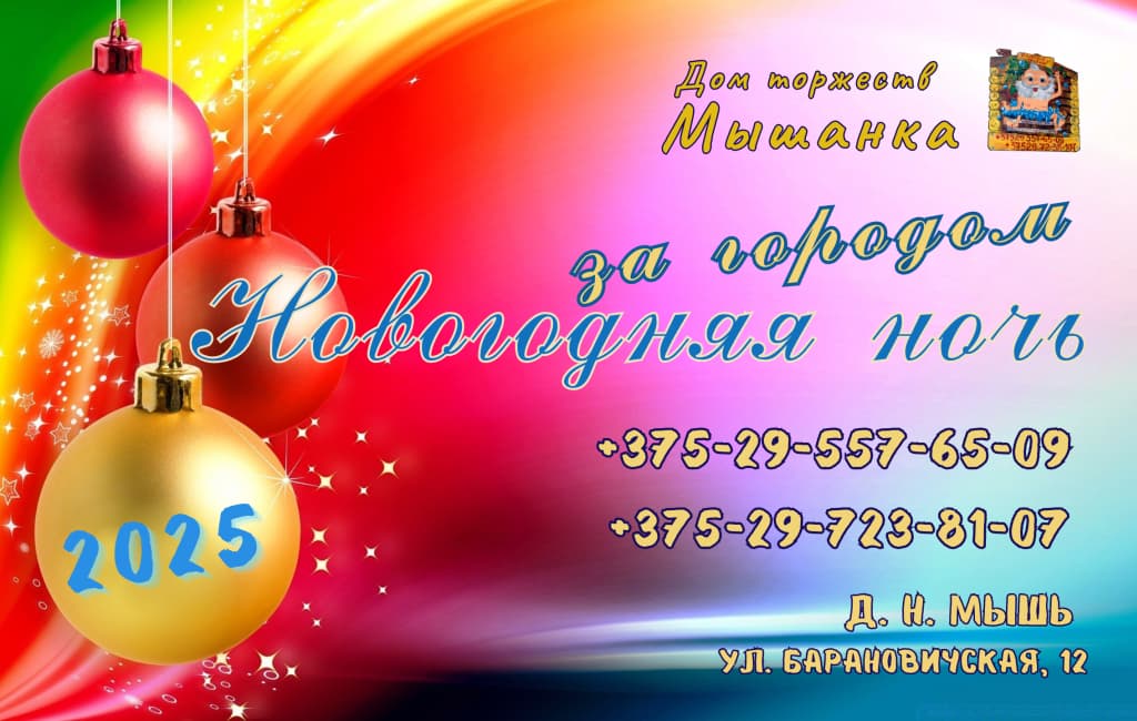Новый год за городом Барановичи Дом торжеств МЫШАНКА